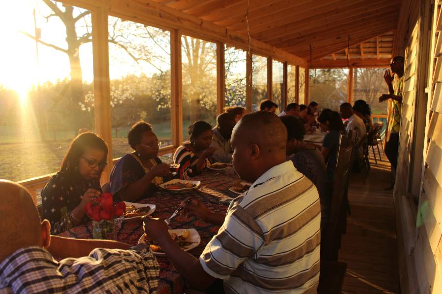 Freedom food New Internationalist